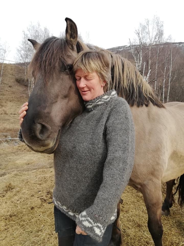 Bildet av lauv genseren som vi selger oppskrift og garn til.