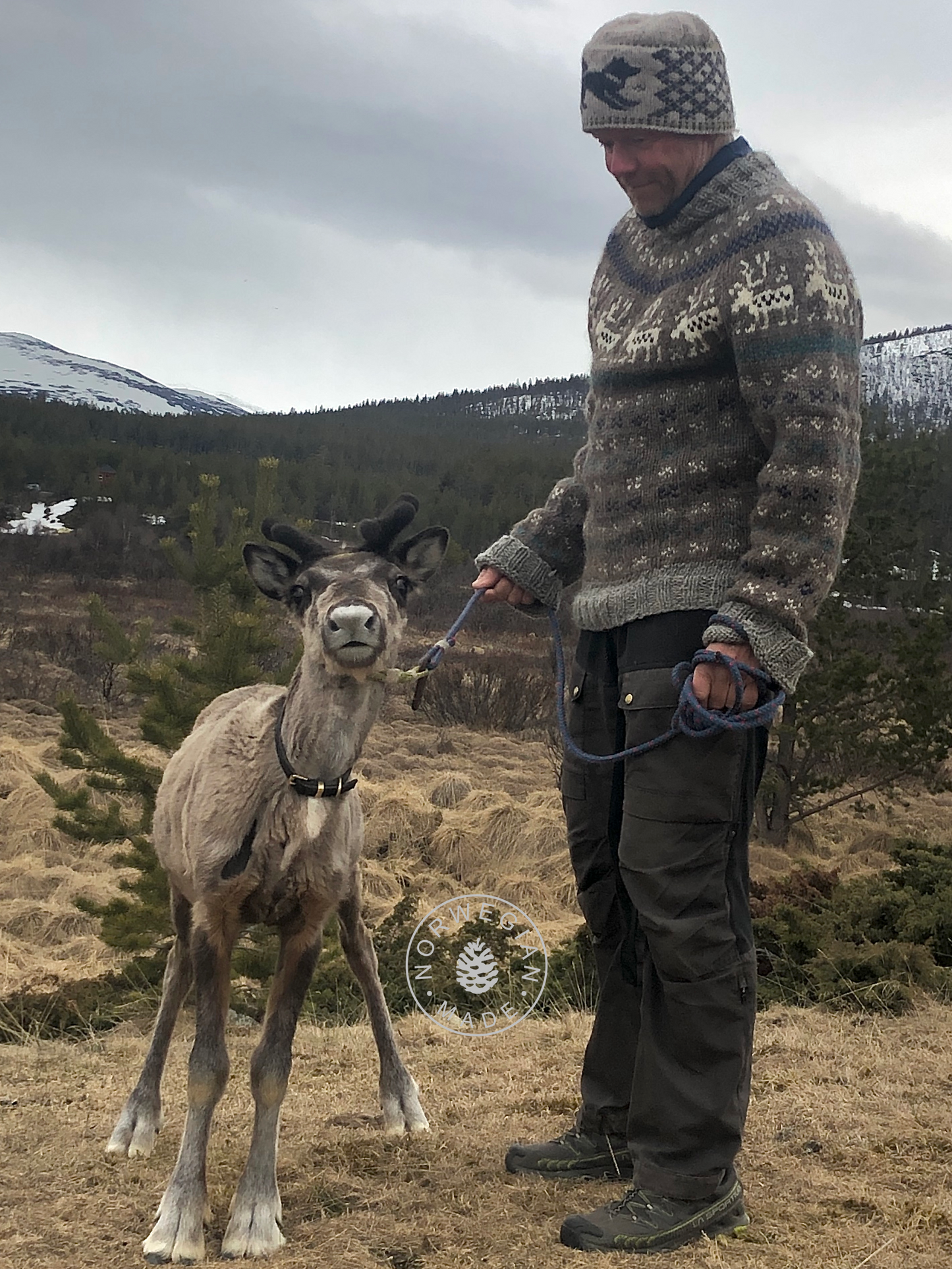 Bildet av genser i rundfelling med reinsdyr på, som vi selger oppskrift og garn til.
