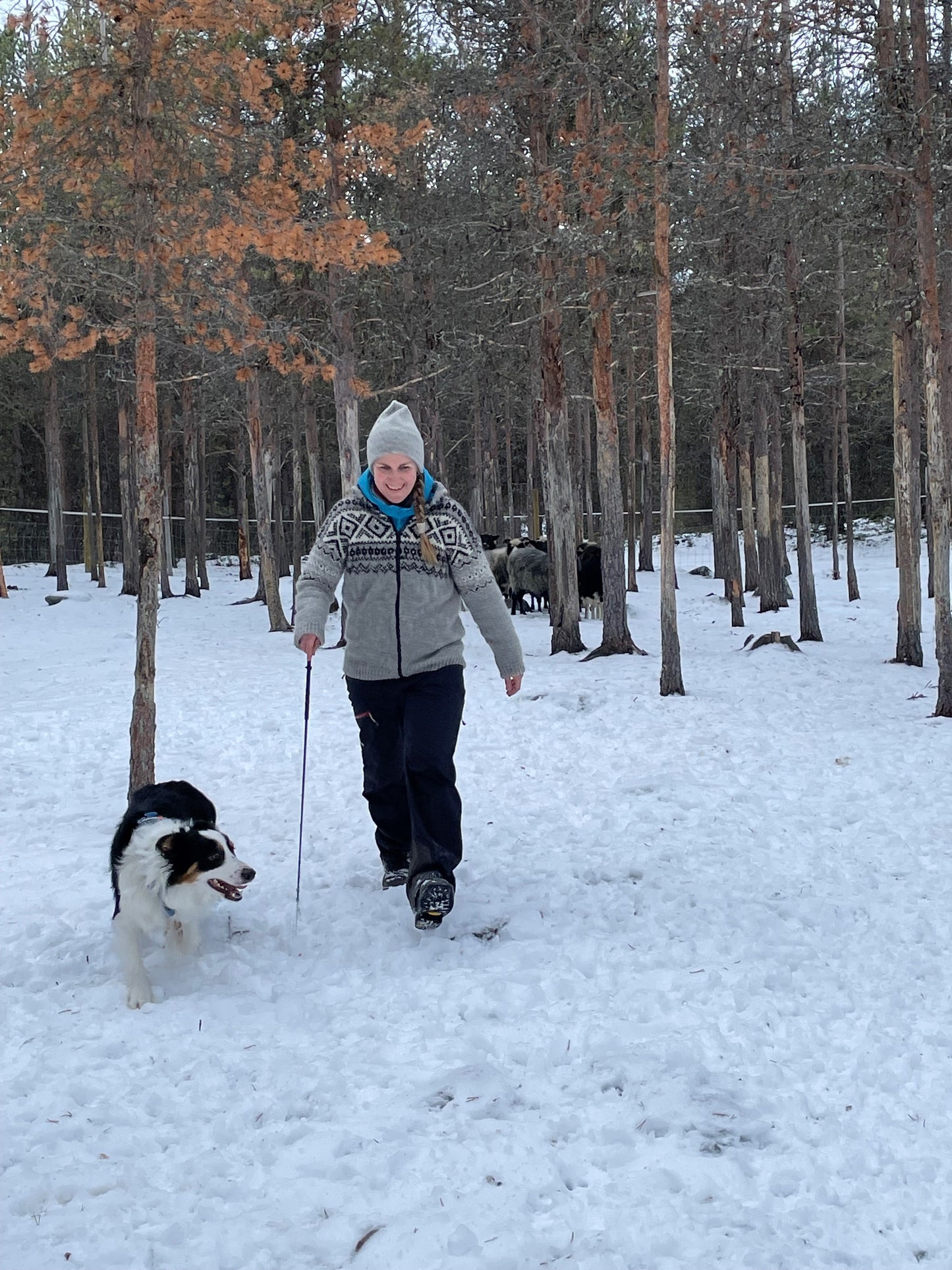 Strikkeoppskrift-sjeidde-jakka