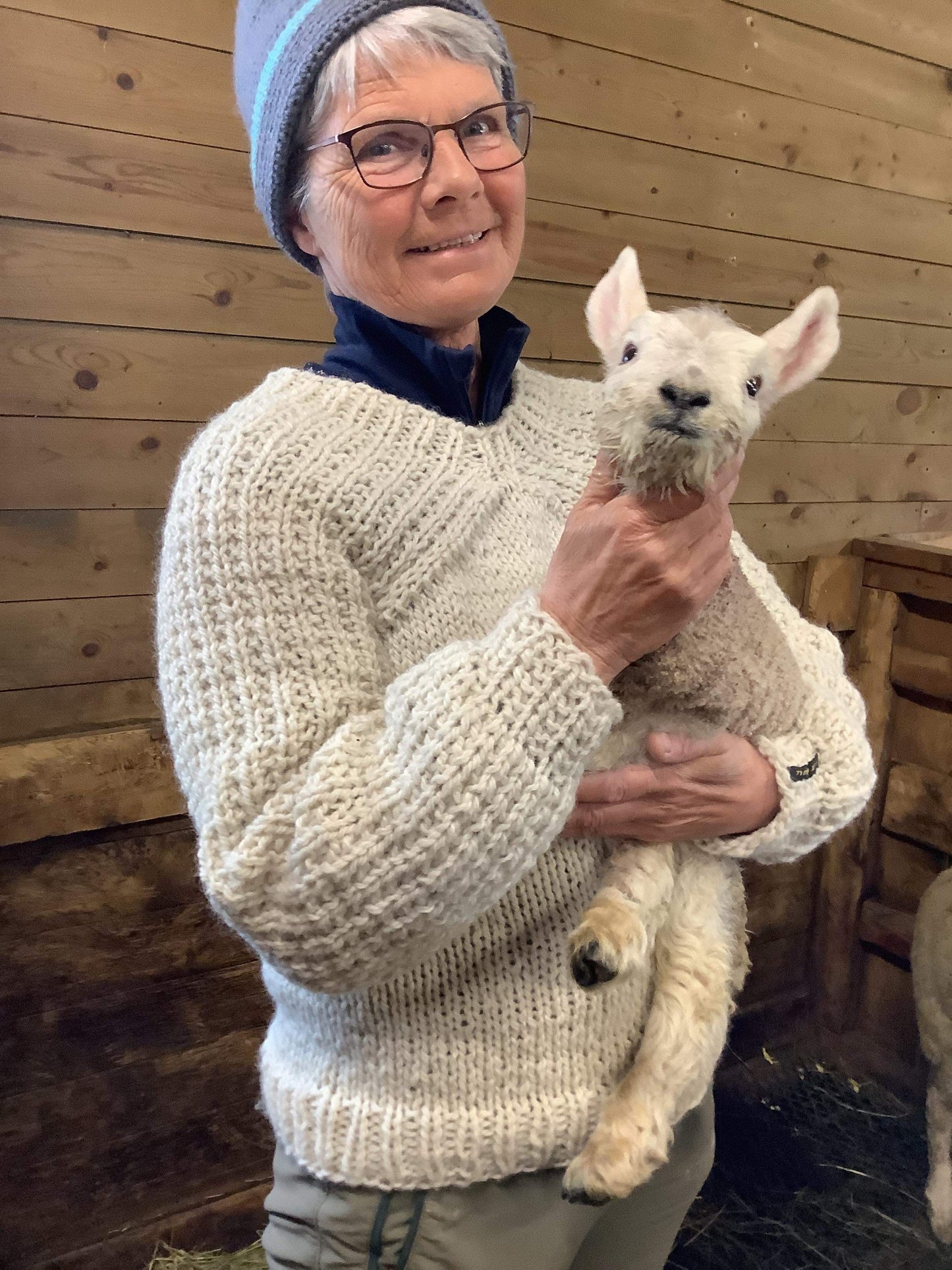 Bildet av Åse-genseren som vi selger både oppskrift og garn til.